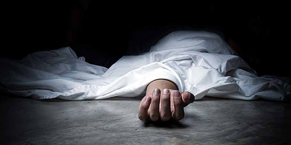 बसको ठक्करबाट पैदलयात्रीको मृत्यु