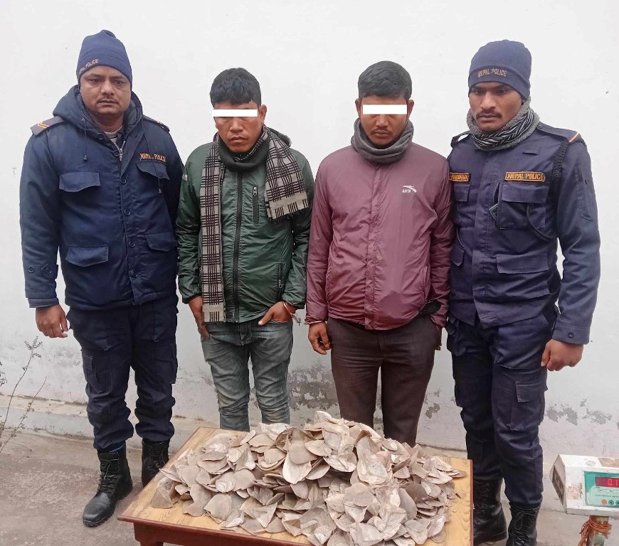 सालकको खपटासहित दुई जना पक्राउ