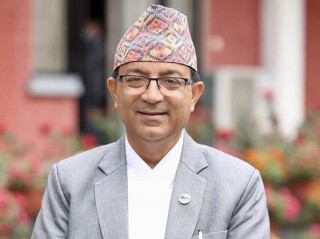 रुख काट्नेबारे महानगरबाट कुनै निर्णय भएको छैन: मेयर आचार्य