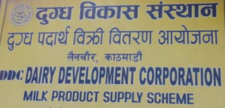 दुग्ध विकास संस्थानले तिर्‍यो ३१ वर्षको सम्पत्ति कर