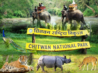 चितवन राष्ट्रिय निकुञ्जमा असार १६ गतेदेखि सफारी बन्द हुने