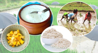 दही चिउराको सांस्कृतिक पर्व मनाइँदै