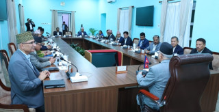 ललितपुर  महालक्ष्मी नगरपालिकाको केन्द्र परिवर्तन, मन्त्रिपरिषद्का ११ निर्णय