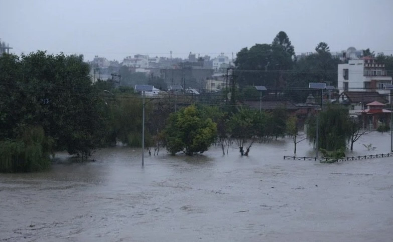 बाढीपहिरोको कारण अर्बौको धनजनको क्षति, बीमा कम्पनीमा ७ अर्ब २८ करोडको दाबी पेश हुने अनुमान