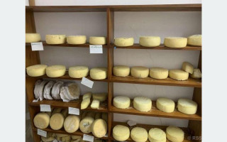 अनुसन्धान केन्द्रमा बाख्राको दूधबाट चिज उत्पादन