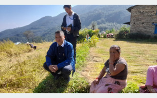 म्याग्दीमा पाक्न लागेको धान असिनापानीले सखाप, दाना सबै झरेर पराल मात्र बाँकी भएपछि किसान चिन्तित