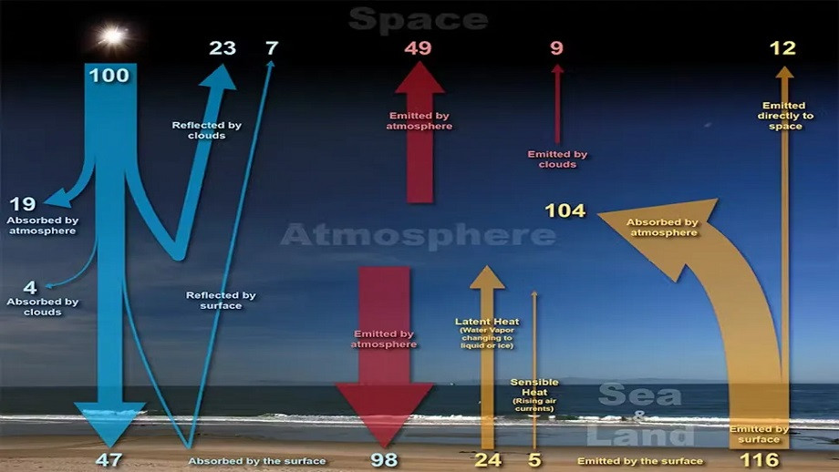 microplastic1.jpg