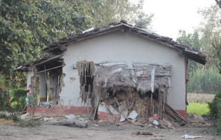 लालझाडीमा जंगली हात्तीको आतंक, रातिको समयमा हिँडडुलमा रोक