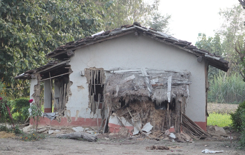लालझाडीमा जंगली हात्तीको आतंक, रातिको समयमा हिँडडुलमा रोक