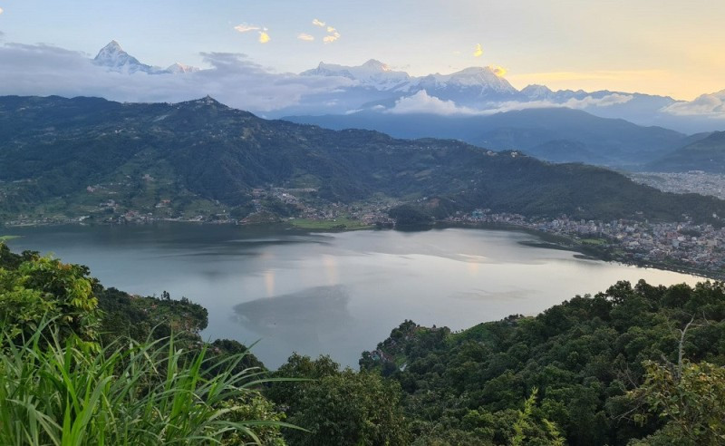 फेवातालमा माछा घट्दा जलारी समुदायको पेसा सङ्कटमा