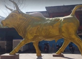 नेप्सेमा तयार भएको ‘बुल’ ६ महिनादेखि अलपत्र, अख्तियारमा उजूरी पुग्यो