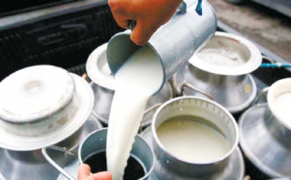 किसानले दूधको भुक्तानी अझै पाएनन्