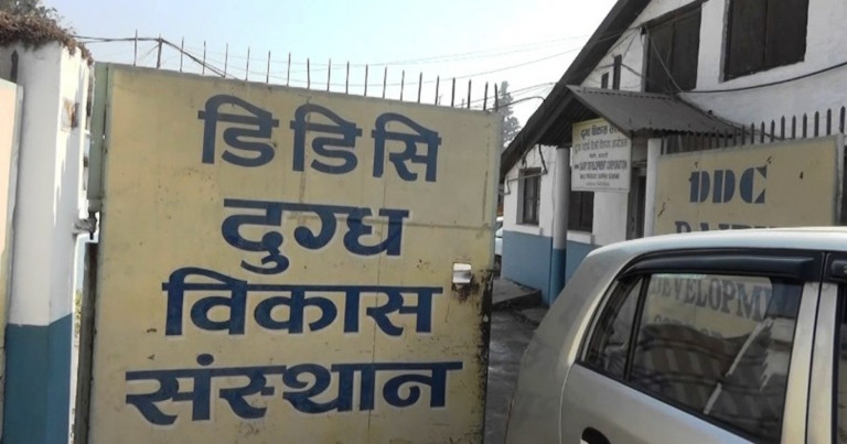 डीडीसीका कर्मचारीले सित्तैमा पाउँदै आएको दूध र घ्यूको पोका अब नपाउने