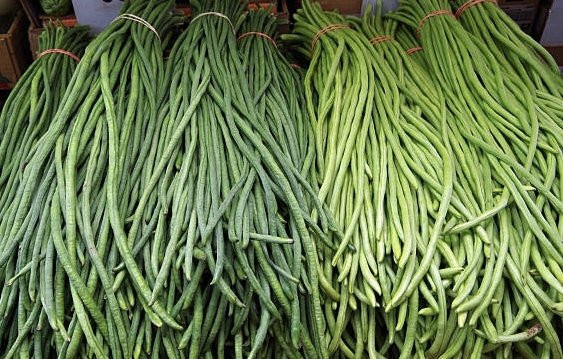 तने बोडीमा भेटियो ९५ प्रतिशत विषादी