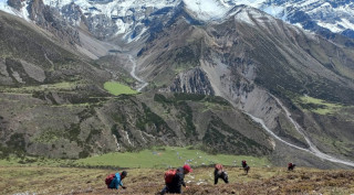 यार्सा संकलन गर्ने समूहबीच डोल्पामा झडप, दुई राउन्ड हवाई फायर