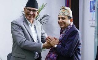 बीमा प्राधिकरणको जिम्मेवारी सहसचिव पोखरेललाई