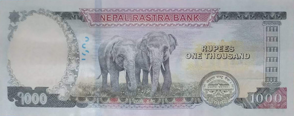एक हजारको नक्कली नोटसहित दुई जना पक्राउ