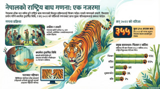 पुस १ गतेदेखि बाघ गणना गरिँदै