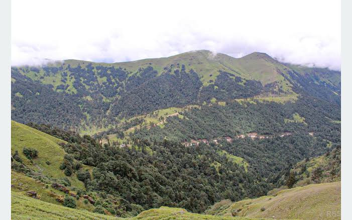 प्रकृतिमा बिताएको २० मिनेटले तपाईँको स्वास्थ्य यसरी सुधार्न सक्छ